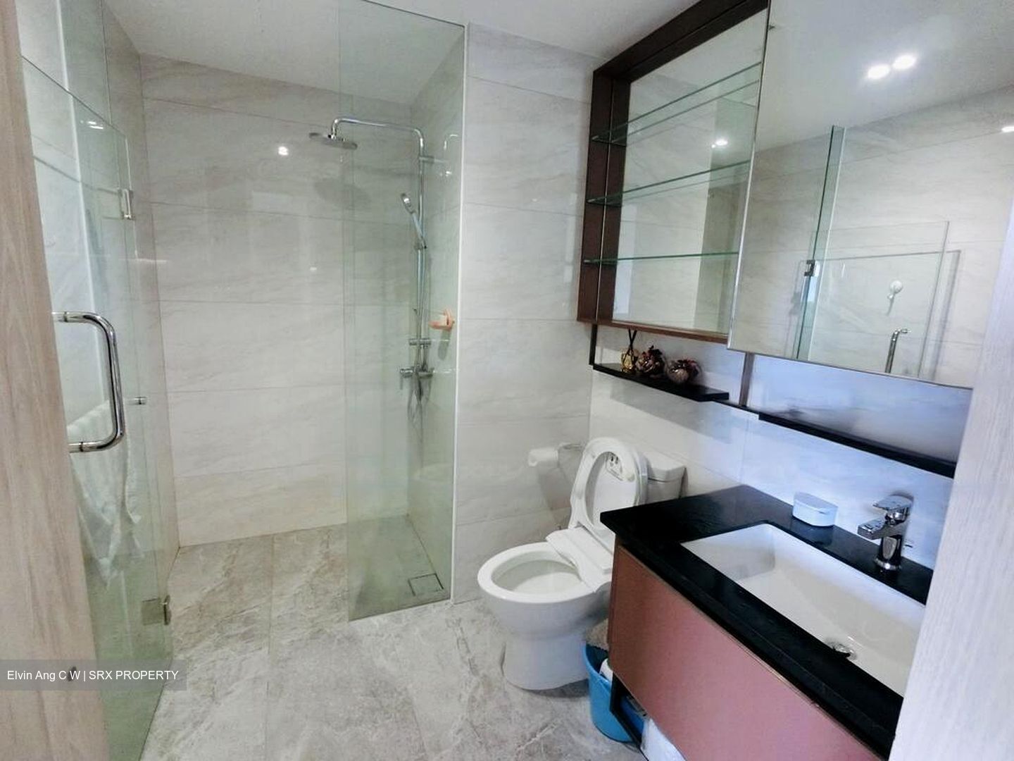 Normanton Park (D5), Apartment #456140821